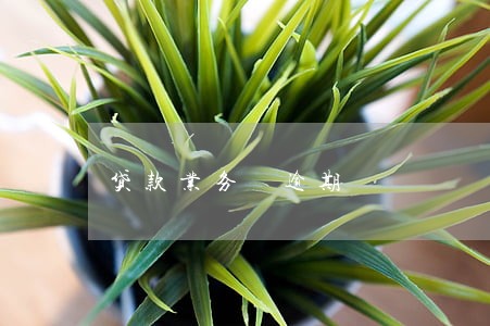 贷款业务 逾期 贷款业务 逾期